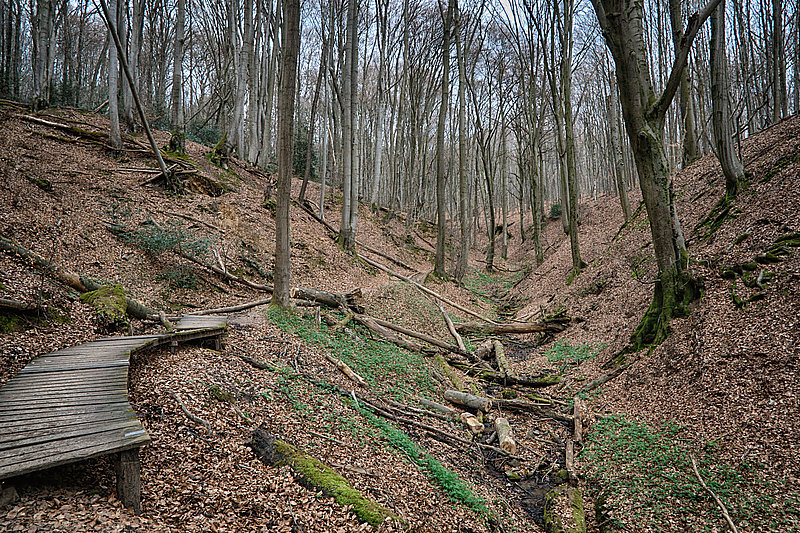 Bernhard Saalfeld - Tretschbachtal (1v9)